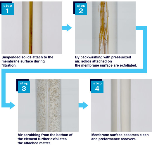 Physical Cleaning Procedure